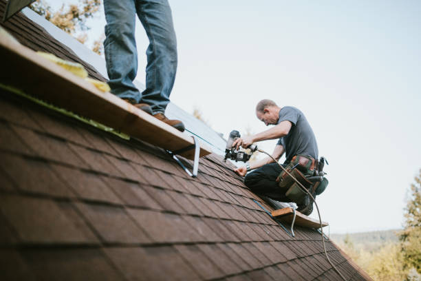 Best Local Roofing Companies  in Lakes Of The Four Seasons, IN